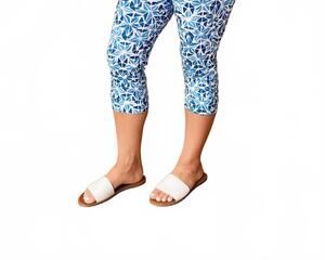 NEW CHARLIE B eloise pants in blue and white